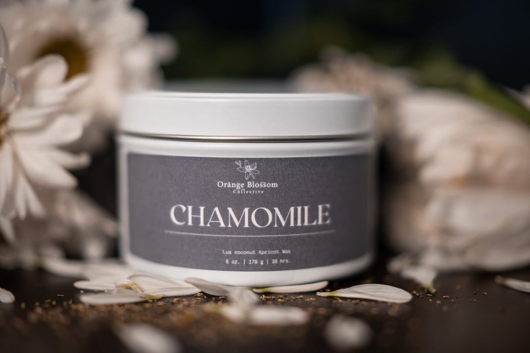 Chamomile Wooden Wick Candle